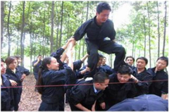 图片19.png