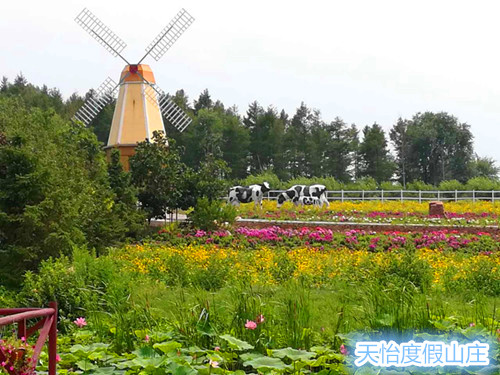 微信图片_20170905154857_副本.jpg