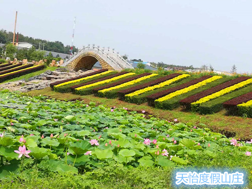 微信图片_20170905154901_副本.jpg